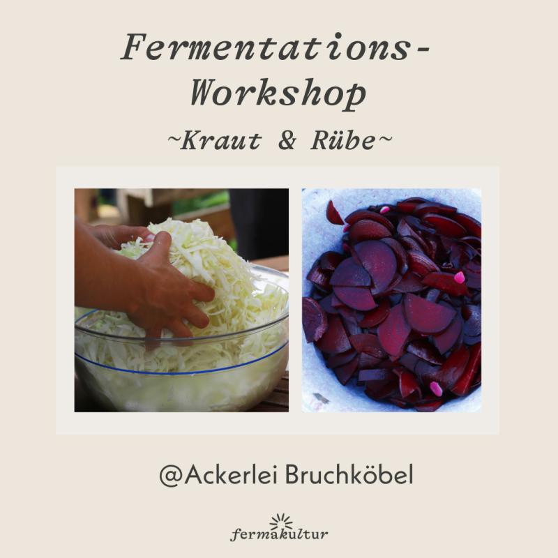 Fermentations-Workshop Kraut & Rübe