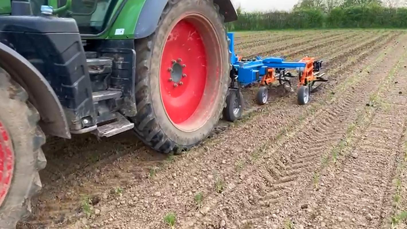 Traktor mit Hackgerät auf dem Acker