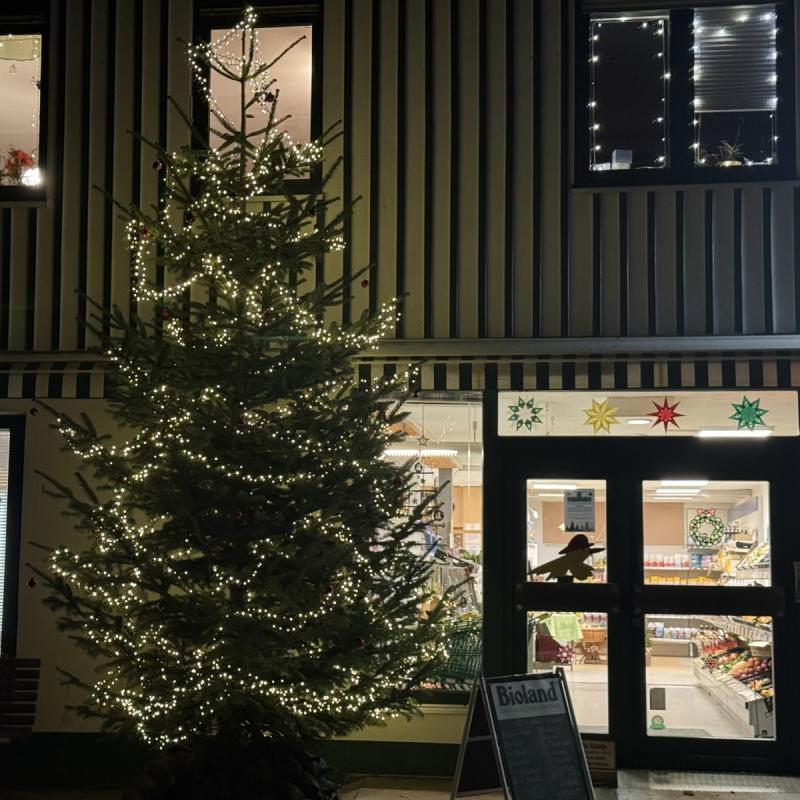 Bio-Adventskränze binden mit Susanne