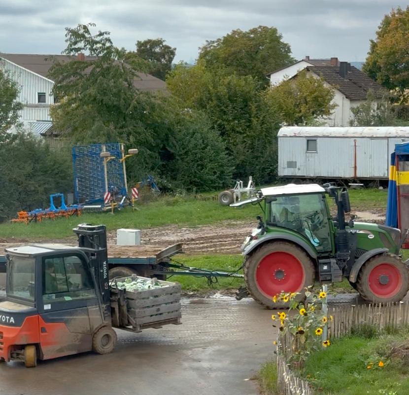 Gemüse einlagern mit dem Stapler