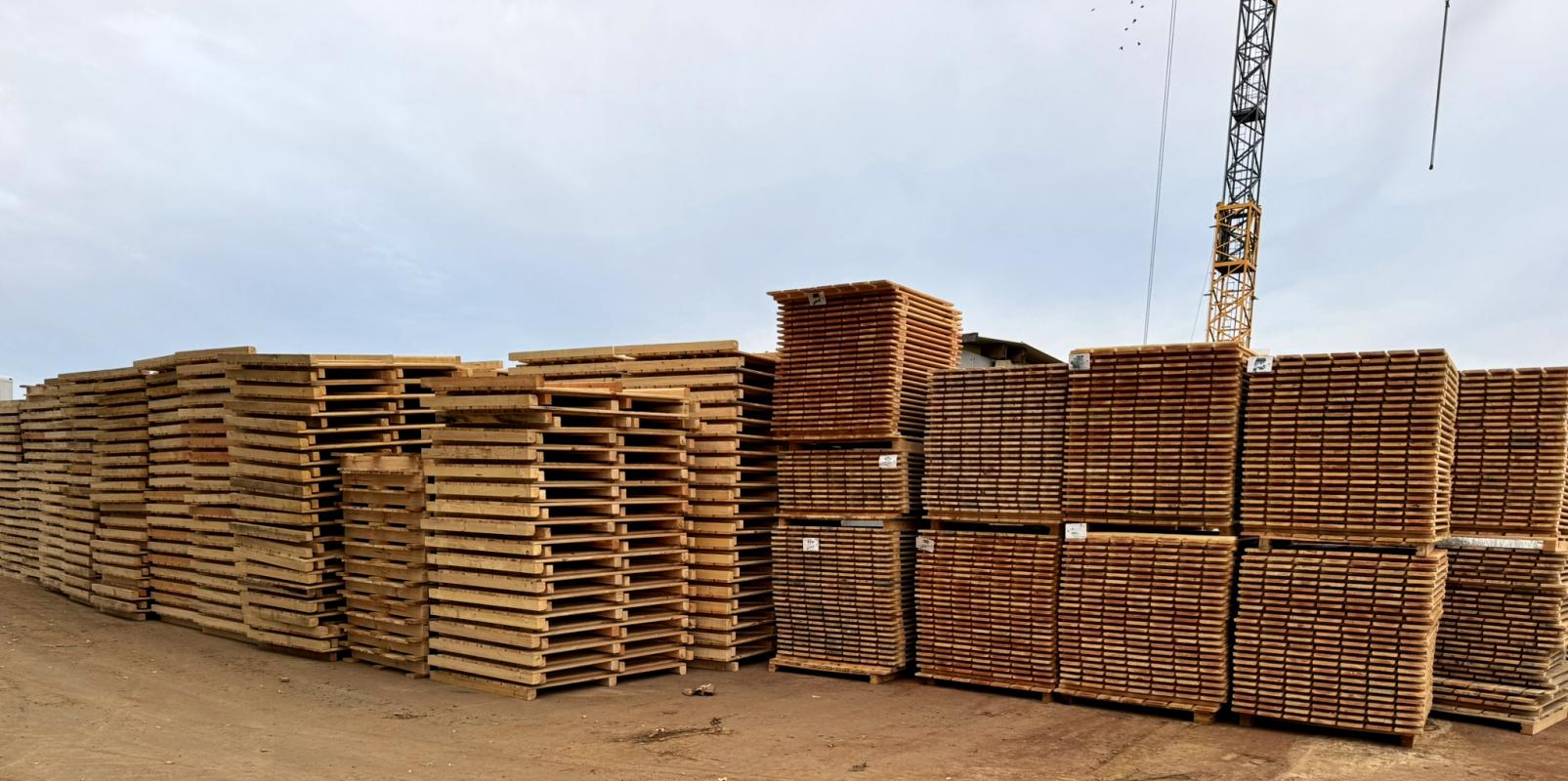 Holz für Großkisten