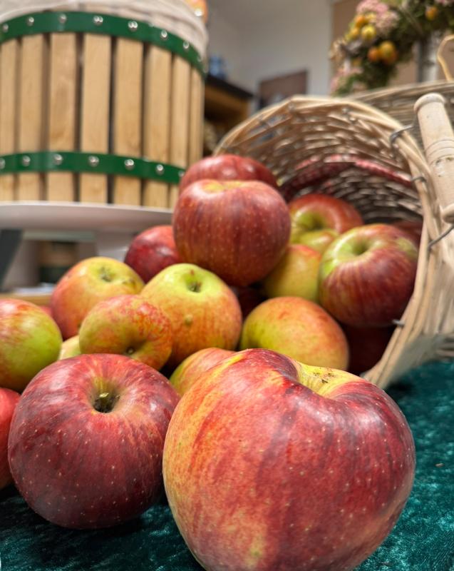 Apfelzeit Ladendekoration