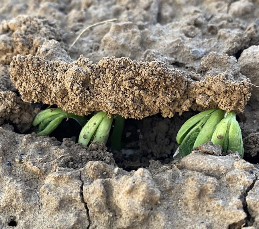 Ostergruß - Unfassbar: Der Kosmos unter unseren Füßen