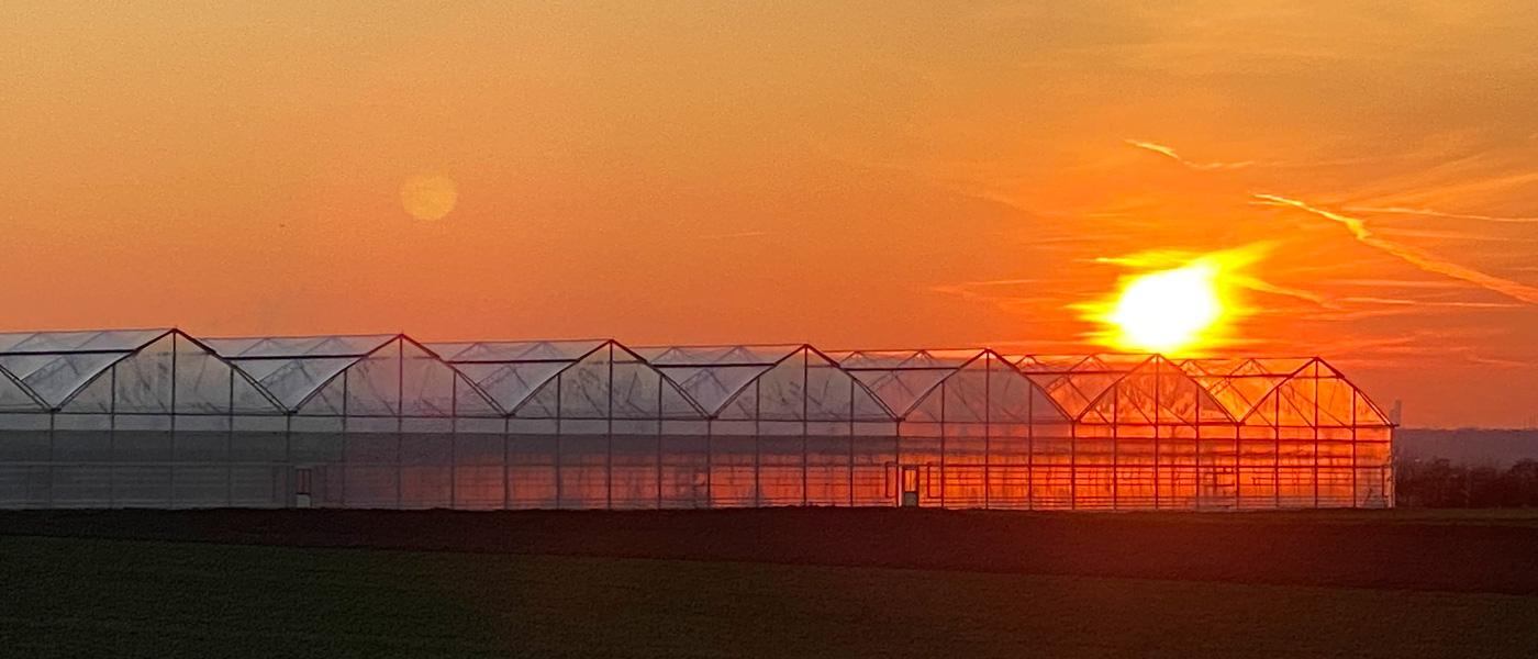 Lasst die Spiele beginnen…