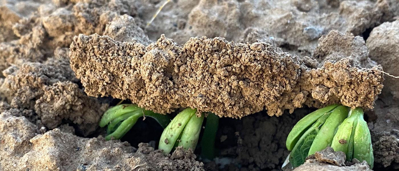 Ostergruß - Unfassbar: Der Kosmos unter unseren Füßen