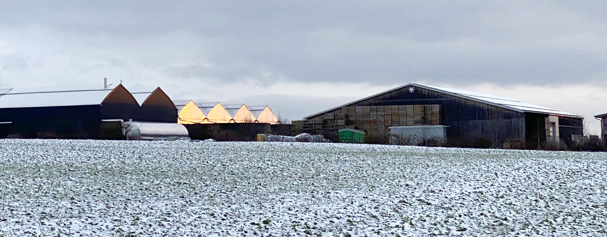 Gewächshaus im Sonnenaufgang bei Schnee und Wolken
