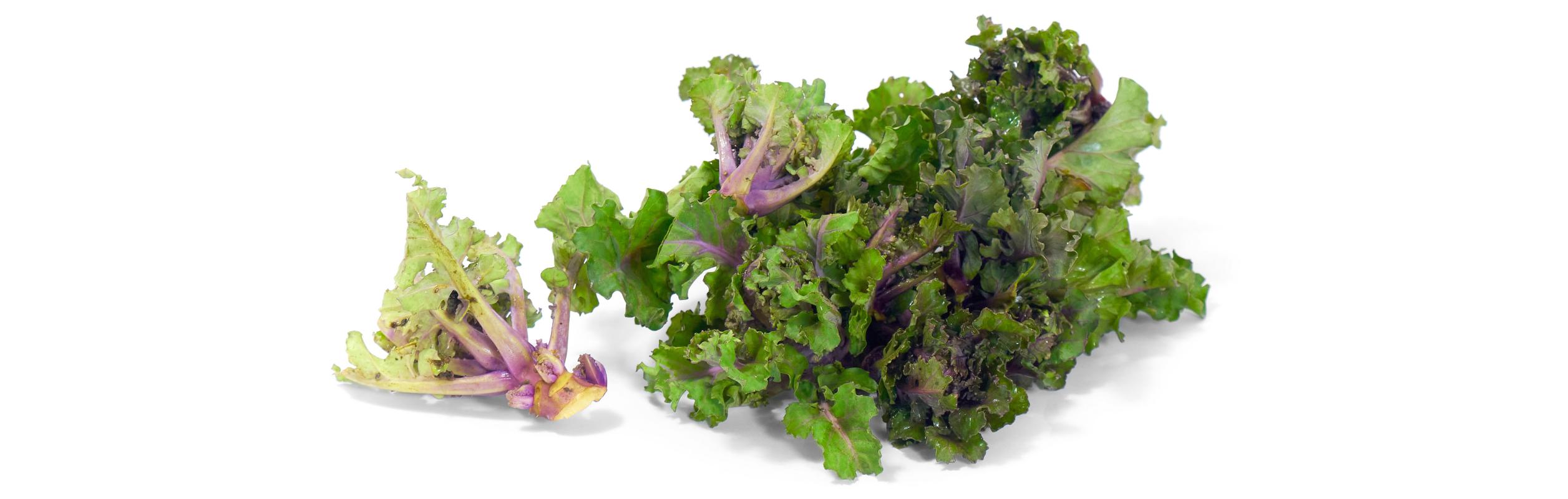 Flower Sprouts