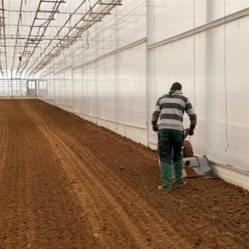 Arbeiten im Gewächshaus