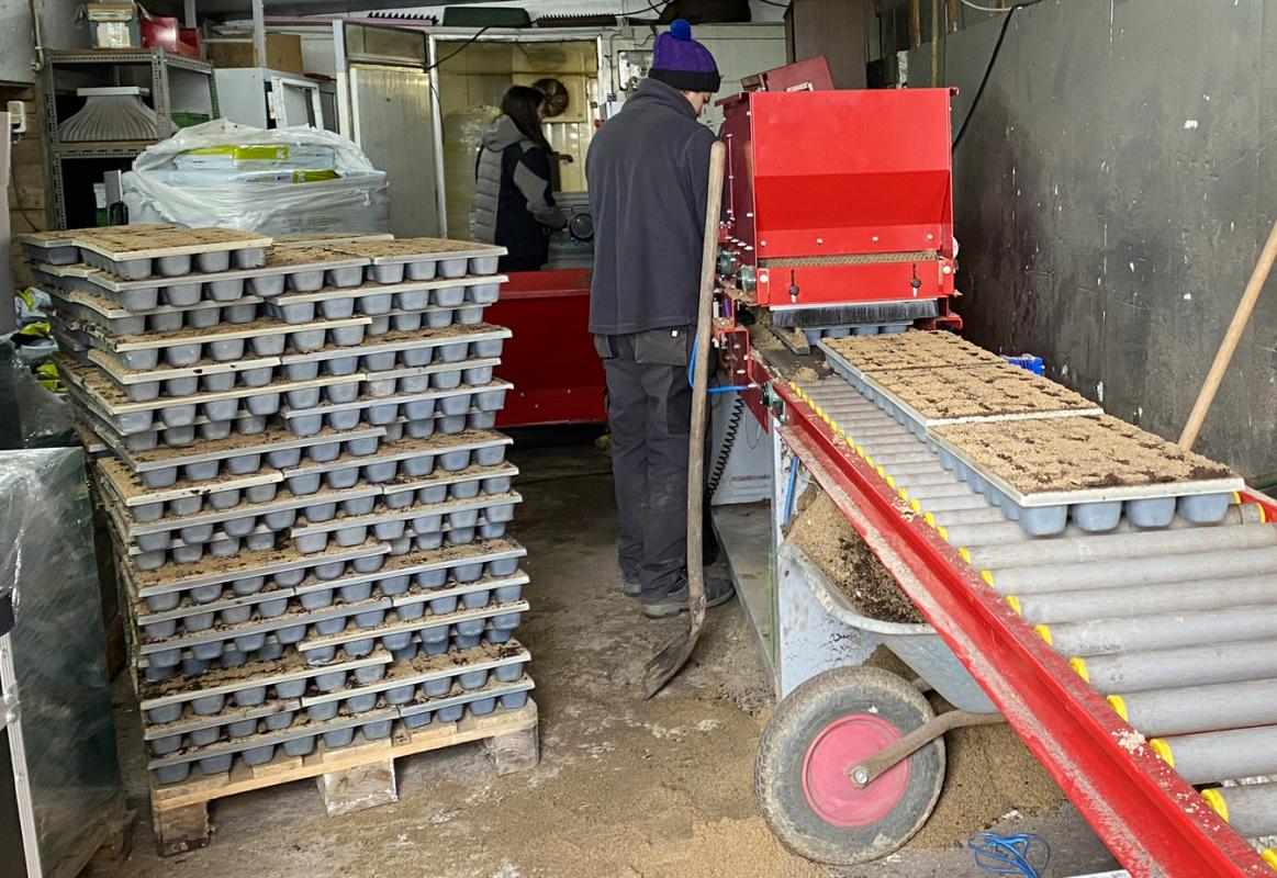 Trays werden mit Saatgut befüllt
