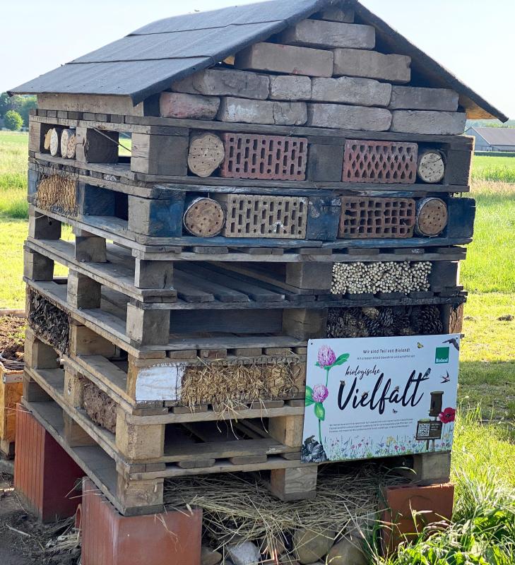 Ackerlei Insektenhaus