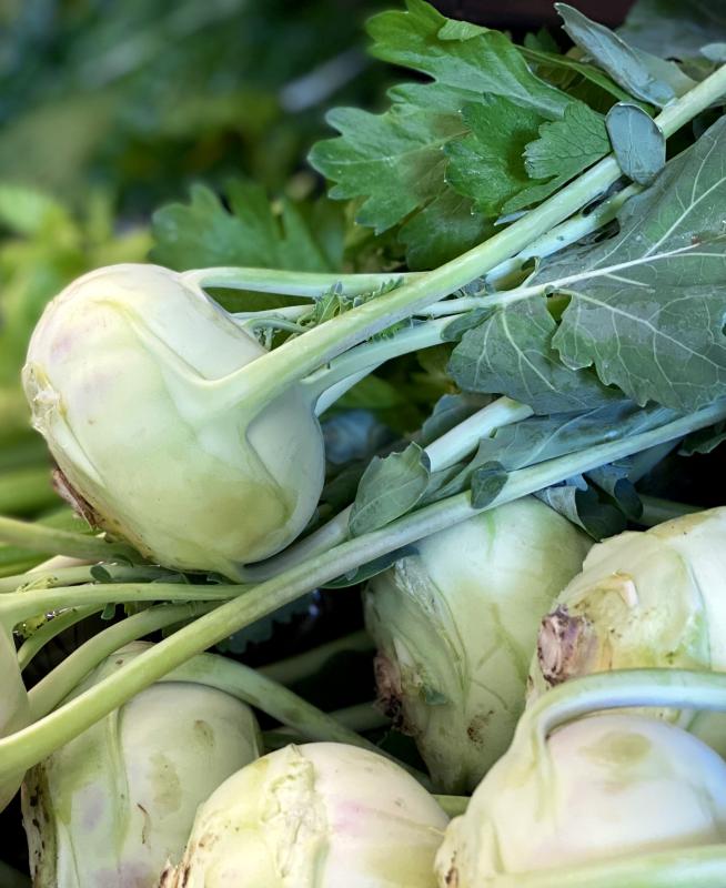 Kohlrabi