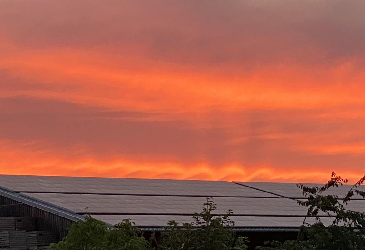 schöne Wolken über der Gemüsehalle