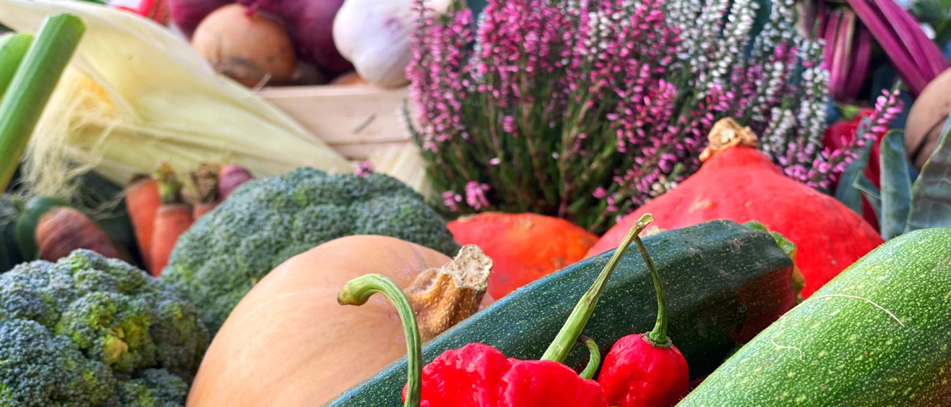 Aktuelles Wir pflügen und wir streuen