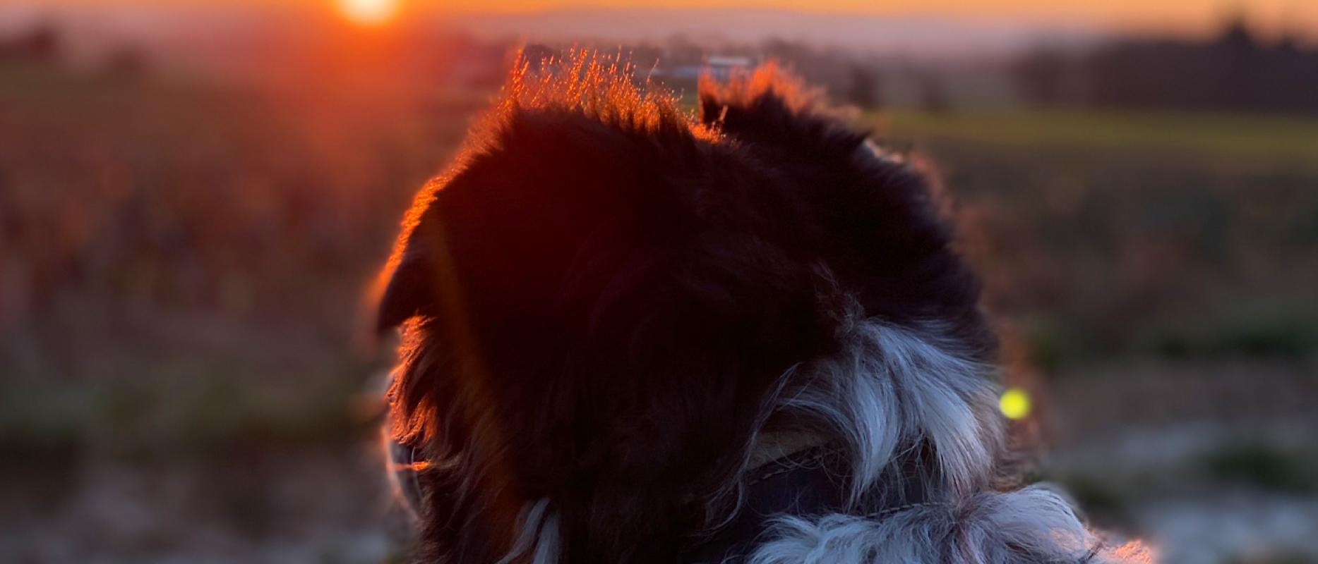 Spieglein, Spieglein an der Wand…