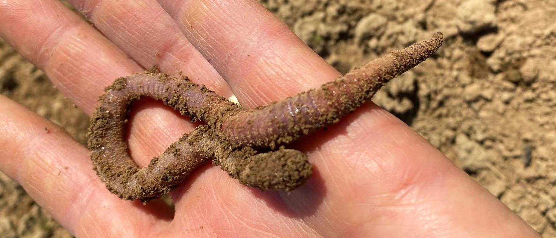 Hoffnungsgeschichten 6.0