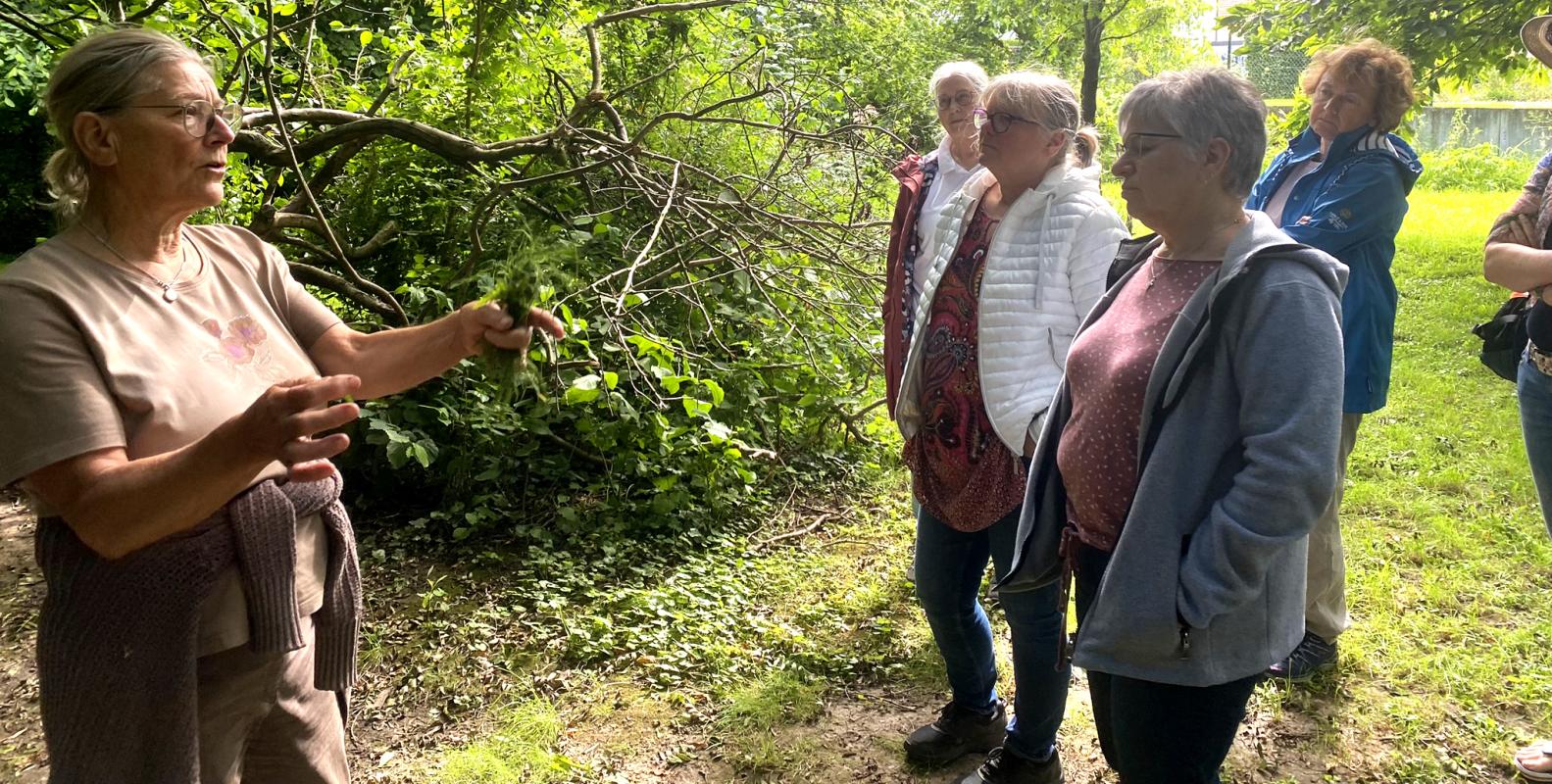 Besuch im Klostergarten Roßdorf