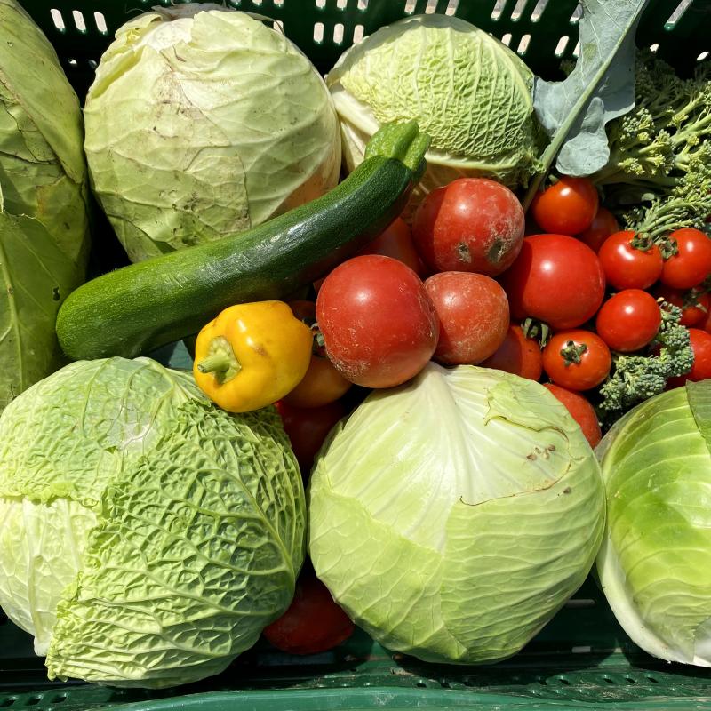 Ernte aus dem Saisongarten