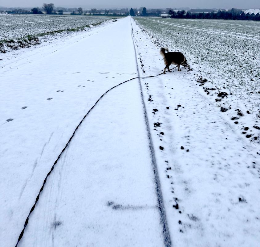 Schneespaziergang mit Emmi