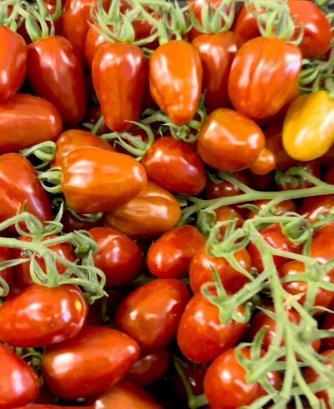 Datteltomaten schwarz
