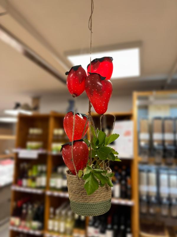 Ladendeko Mai Erdbeeren