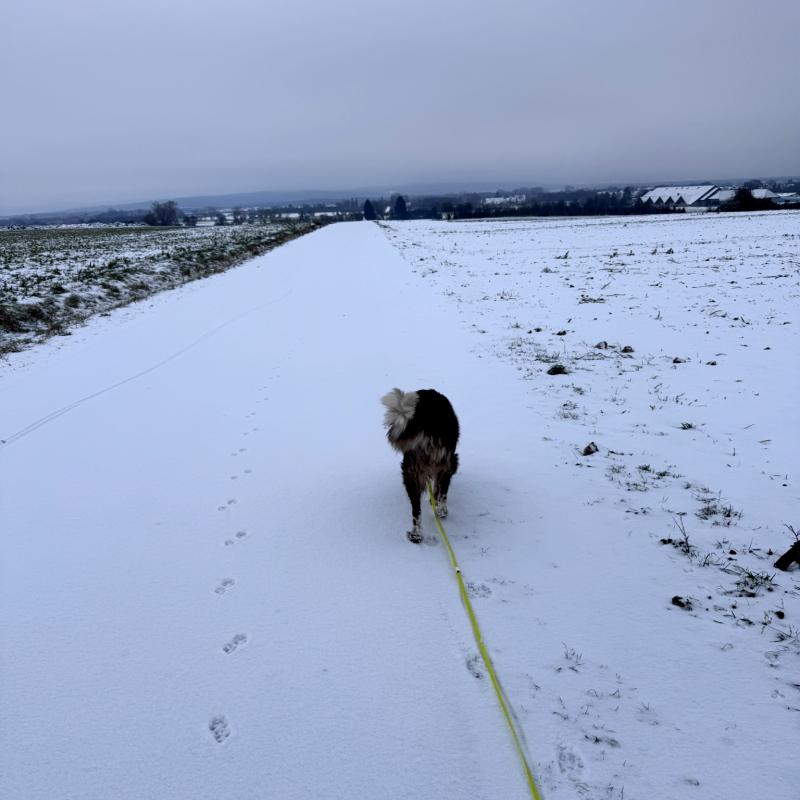 Schneespaziergang mit Emmi