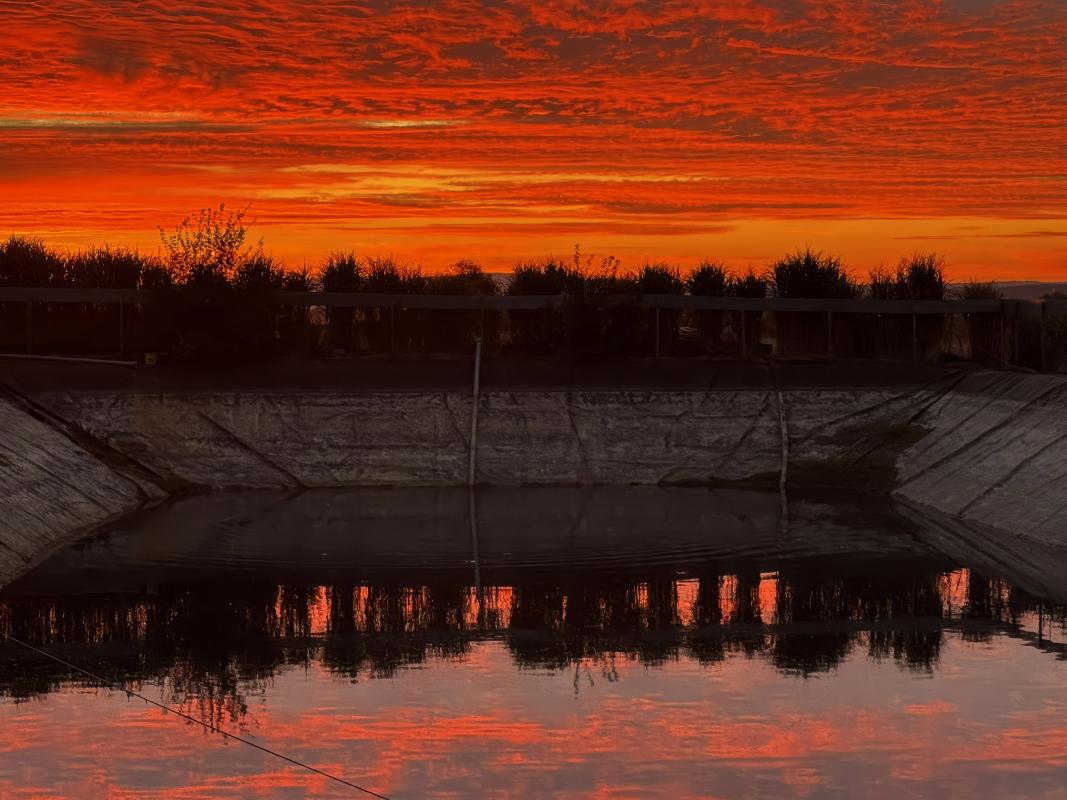 Löschteich im Sonnenaufgang